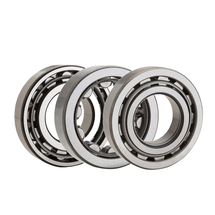 Single row cylindrical roller bearings